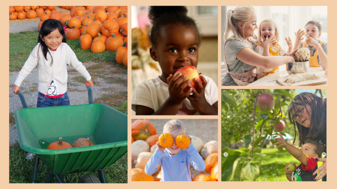 Fall Harvest for Kids: Fun & Educational Activities